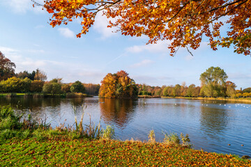 Pond in the beautiful autumn scenery