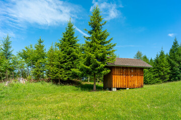 alter Heustadel, Hütte auf einem Hügel, Holzschopf am Waldrand, kleines Haus mit Aussicht über das Rheintal. sonniger Tag mit kleinen Wolken