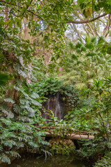 Fototapeta na wymiar Stream in the beautiful historical botanical garden of the Conception of Malaga, Andalucia, Spain