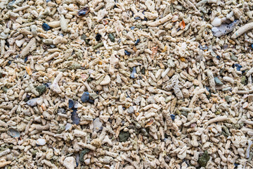 Coral reef at sea shore, A white sands beach Thailand.