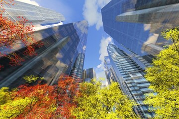 Autumn in modern city, skyscrapers and autumn park, 3d rendering
