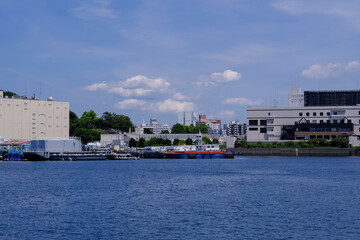 Obraz premium 横須賀港の風景