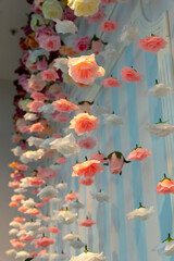an artistic spatial composition of rose flowers suspended in the air