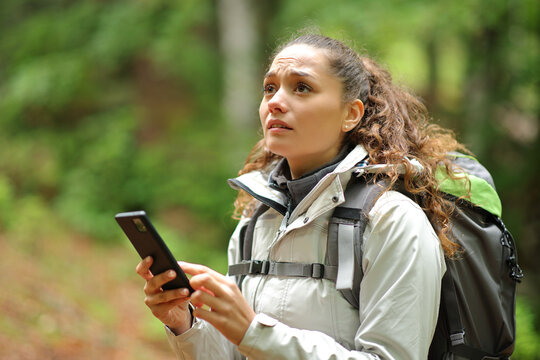 Lost trekker searching location with phone in a forest