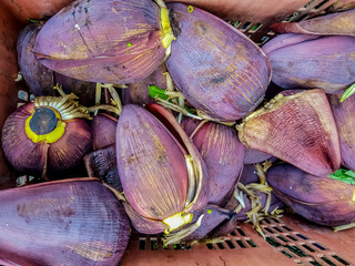 Blossom banana flower farm harvest background. Image, picture and stock photo.
