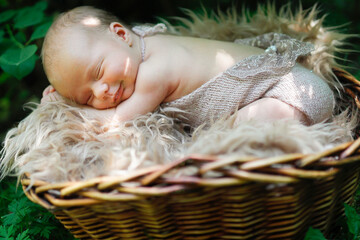 Newborn baby in basket outside among grass, photographing newborn in park in summer.