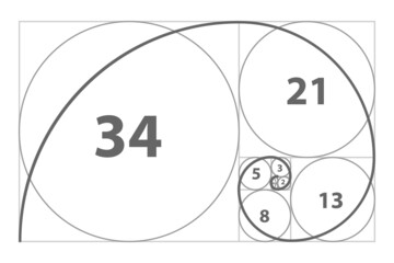 Fibonacci sequence of circles. Golden ratio geometric concept. Vector illustration. 