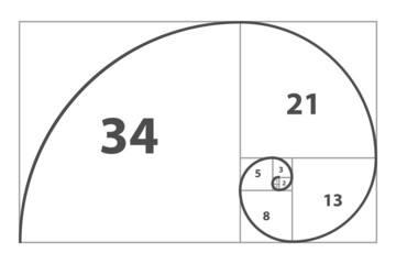 Golden ratio template vector spiral. Gometric or symmetry spiral. Divine Proportion. Vector illustration