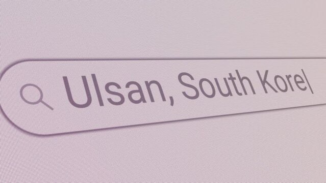 Search Bar Ulsan South Korea 
Close Up Single Line Typing Text Box Layout Web Database Browser Engine Concept