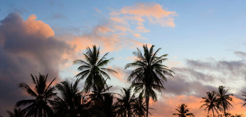 The banner travel of tropical in summer mood with palm trees and sunset sky background,Summer...