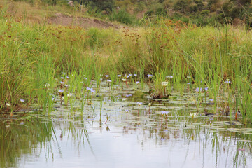 Biyamiti Weir / Biyamiti Weir /