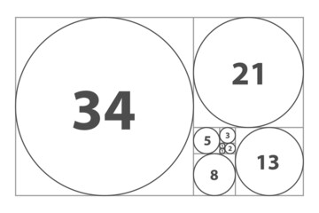 Fibonacci sequence of circles. Golden ratio geometric concept. Vector illustration.