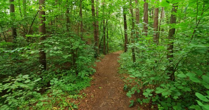 Personal perspective of walking on a narrow path in the green forest, daytime.