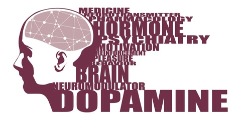 Illustration of a human head with brain textured by line and dots pattern. Dopamine relative words cloud