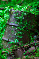 Old rusty metal cans and barrels in the forest with lush green leaves and over growth.. Photographer Derek Broussard