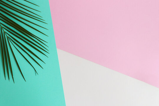 Palm leaf on a pink, turquoise and beige texture with copy space. Top view. Minimalism, summer flat lay