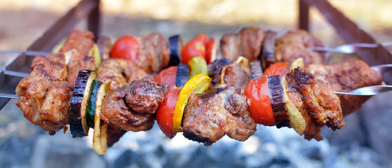 Delicious shish kebab of pork or lamb on skewers and coals