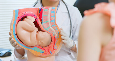 Prenatal exam concept