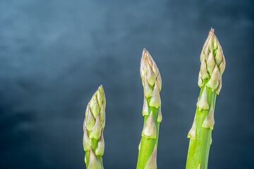 Fresh asparagus shoot over dark background
