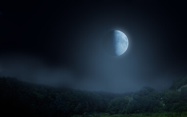 Moon at night, starless sky.Fog over the forest.Background for Halloween