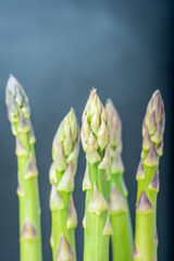 Fresh asparagus shoot over dark background