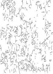 Abstract wallpaper with diagonal black and white strips. ฺbackground Geometric pattern