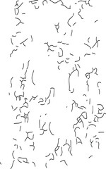 Abstract wallpaper with diagonal black and white strips. ฺbackground Geometric pattern