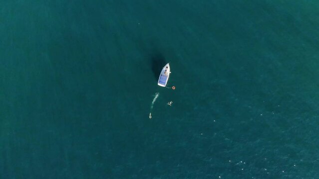 A ship with tourists is anchored in a bay of the Mediterranean Sea with people swimming nearby. aerial view