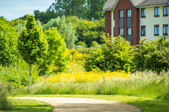 Empty walkway footpath with new built houses on background in england uk