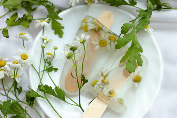flowers in ice, chamomile, garden flower, white flower, ice with frozen white flowers