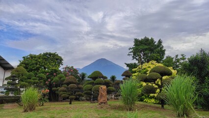 The refreshment scenery of beautiful garden with mountain and cloudy sky view