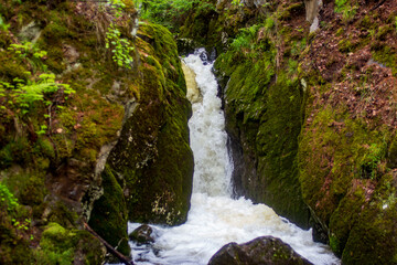 waterfall in the forest