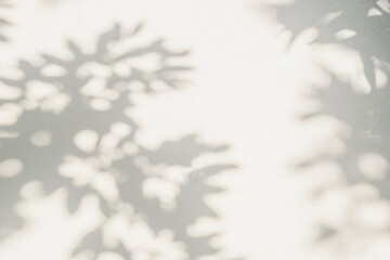Shadow and sunshine of leaves reflection. Jungle gray darkness shade and lighting on concrete wall, shadows overlay effect, mockup and design