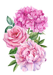 Flowers peony, rose, hydrangea and leaves, watercolor botanical illustration, Floral design.