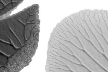 black white abstract acrylic painting color texture on white paper background by using rorschach inkblot method