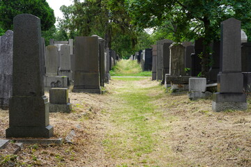 Naklejka premium Alter Jüdischer Friedhof am Zentralfriedhof in Wien