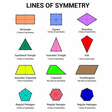 lines of symmetry of shapes
