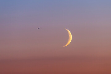 An airplane flying near the young crescent of the moon