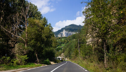 curve road in forest near mountain