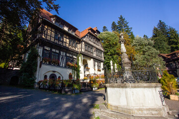 beautiful old palace building in a forest