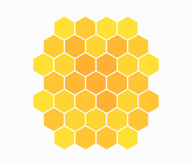 Honeycomb isolated on white background.