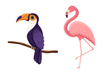 Cute tropical birds toucan and flamingo. Vector illustration.