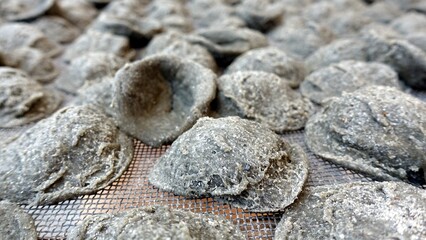 Close-up image of fresh handmade Apulian green orecchiette pasta. Typical Italian pasta recipe