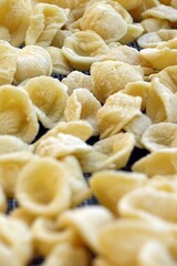 Close-up image of fresh handmade Apulian orecchiette pasta. Typical Italian pasta recipe