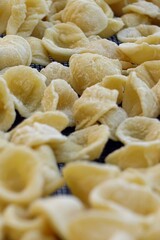 Close-up image of fresh handmade Apulian orecchiette pasta. Typical Italian pasta recipe
