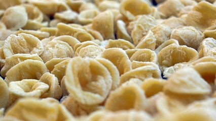 Close-up image of fresh handmade Apulian orecchiette pasta. Typical Italian pasta recipe