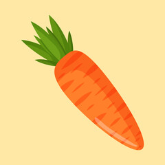 Vector illustration of an orange carrot. Vegetables and raw food.