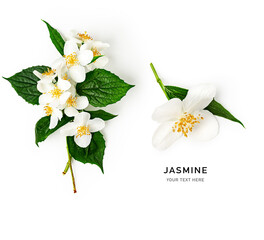 Jasmine flowers bouquet with stem and leaves.