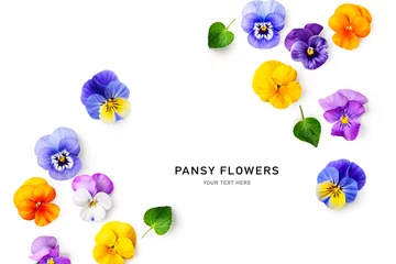 Poster Spring viola pansy flowers composition. © ifiStudio