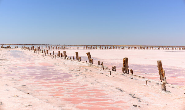 The pink lake is a beautiful landscape, unusual nature.
